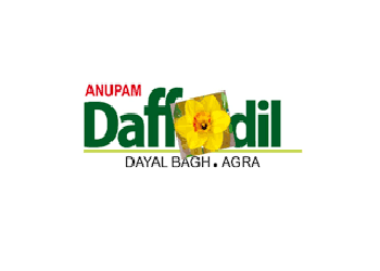 Anupam Daffodils